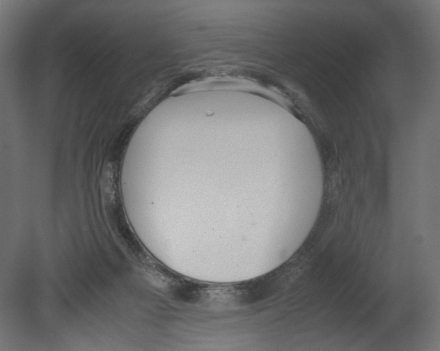 X0000080700121200701121801