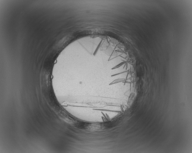 X0000080700123200701121801