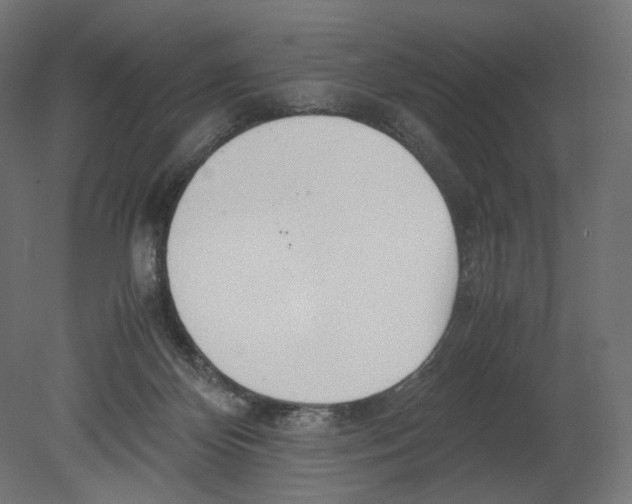 X0000080700124200701121801