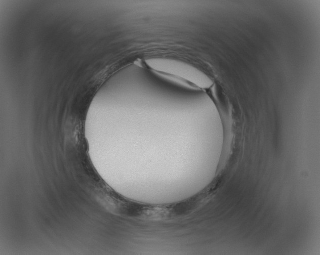 X0000080700125200701121801