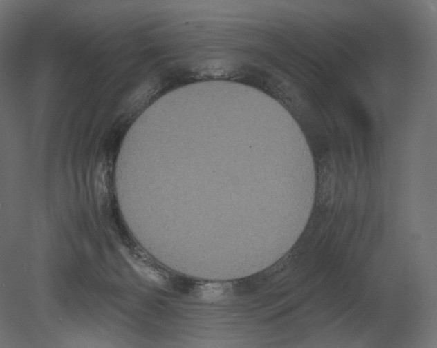 X0000080700126200701121801