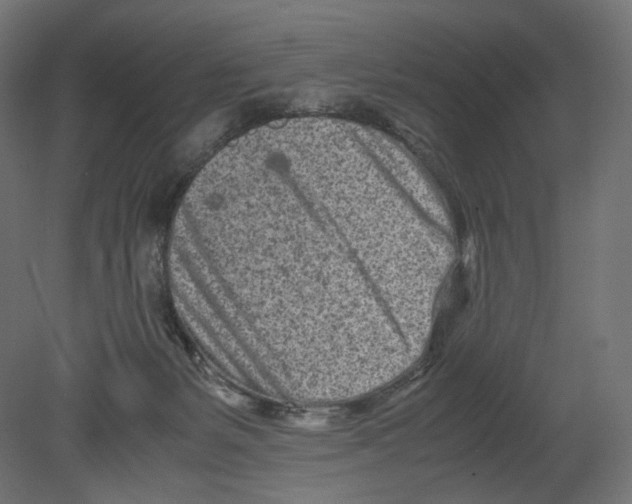 X0000080700127200701121801