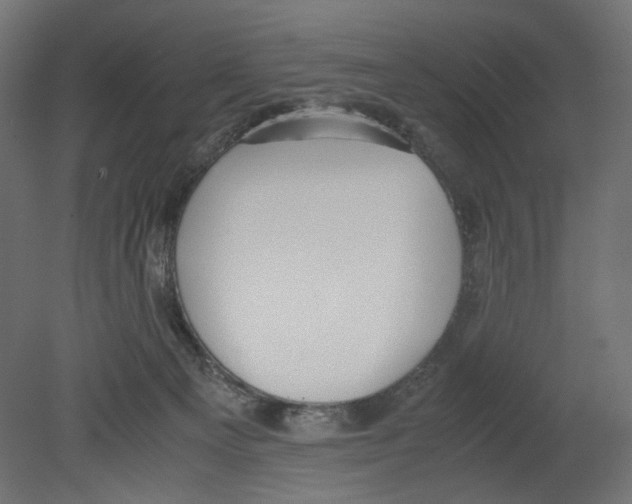 X0000080700129200701121801