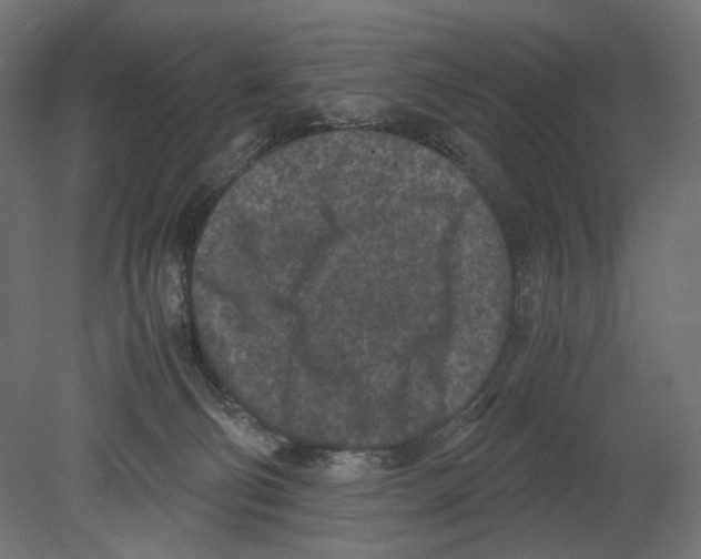 X0000080700130200701121801