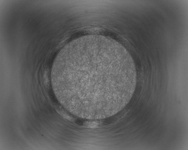 X0000080700131200701121801