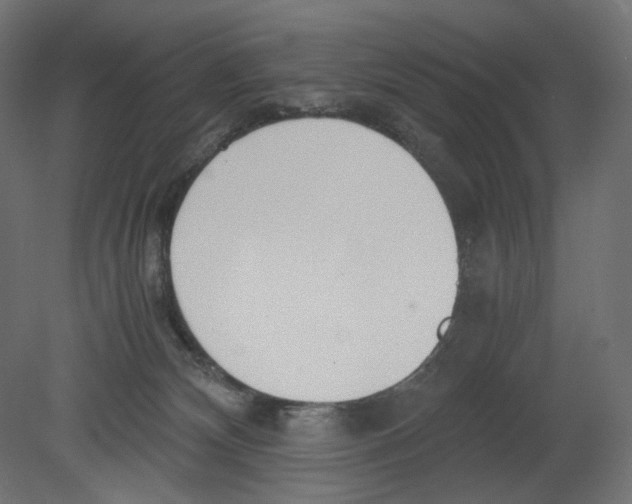 X0000080700132200701121801