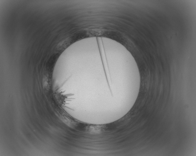 X0000080700134200701121801