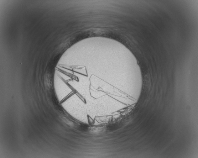 X0000080700135200701121801