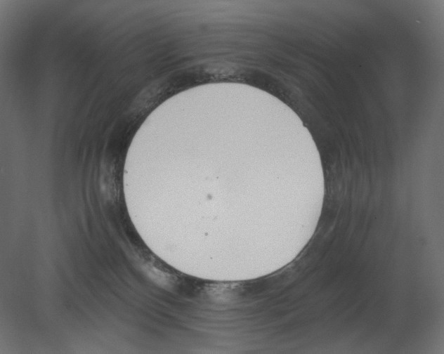 X0000080700136200701121801