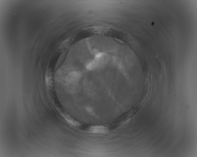 X0000080700137200701121801