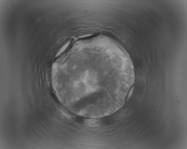 X0000080700139200701121801