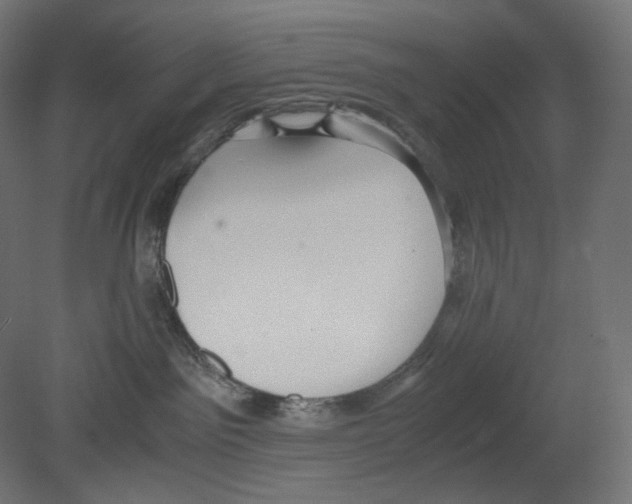 X0000080700141200701121801