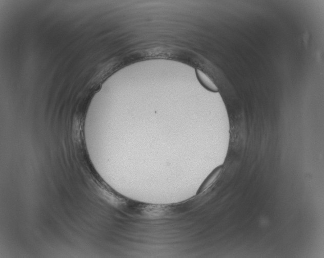 X0000080700142200701121801