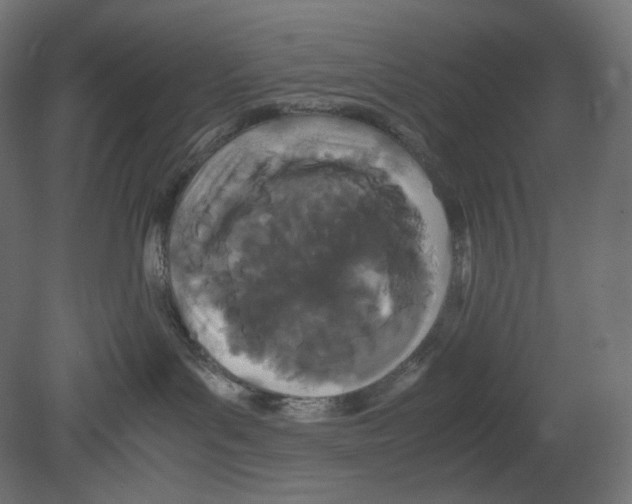 X0000080700143200701121801