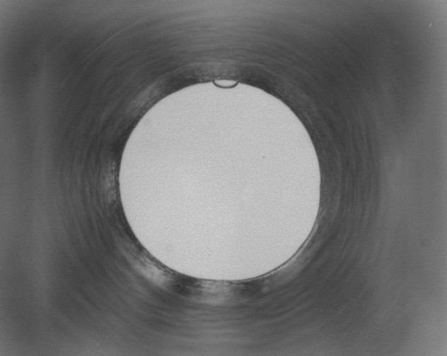 X0000080700144200701121801