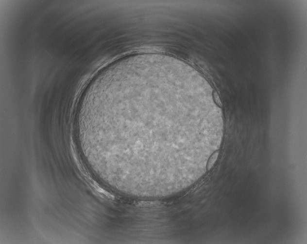 X0000080700145200701121800