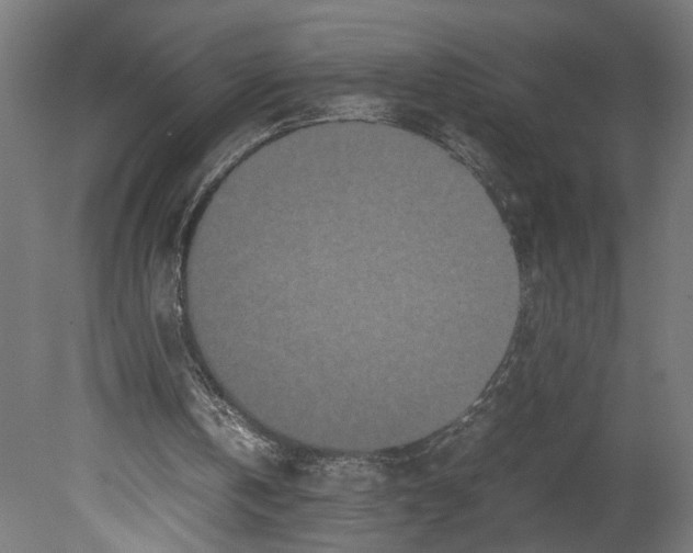 X0000080700146200701121800