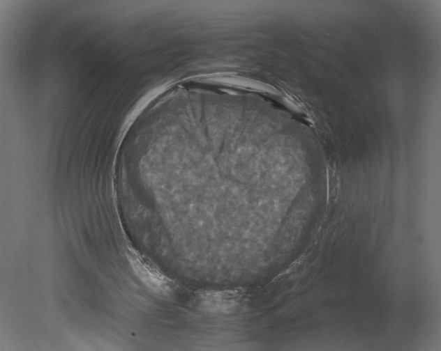 X0000080700147200701121800