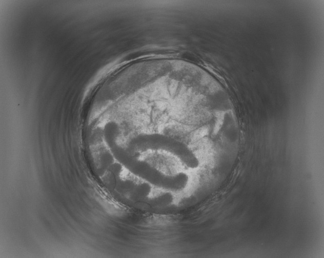 X0000080700149200701121800