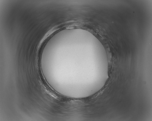 X0000080700150200701121800