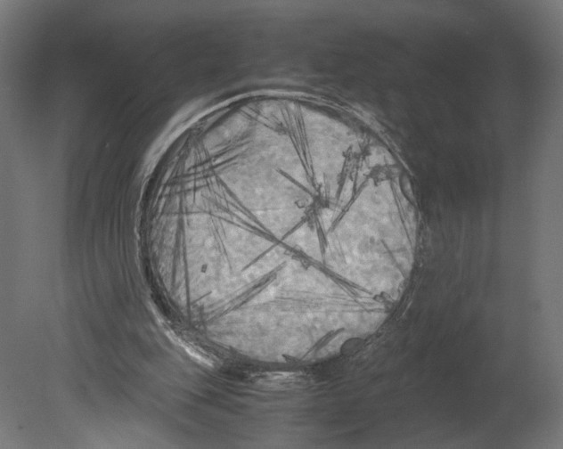 X0000080700151200701121800