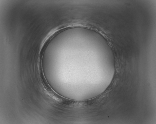 X0000080700152200701121800