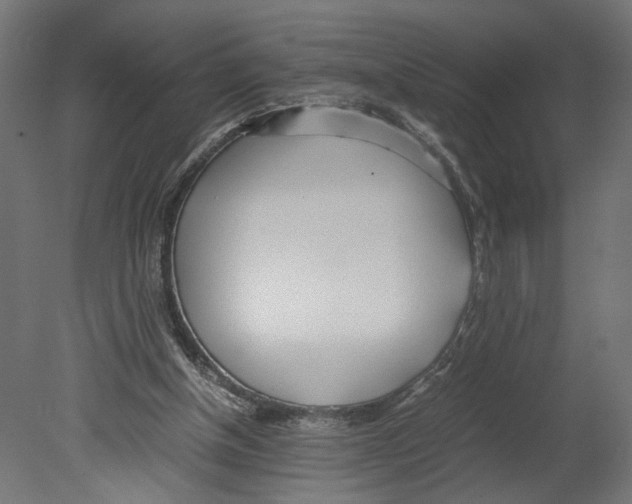 X0000080700154200701121800