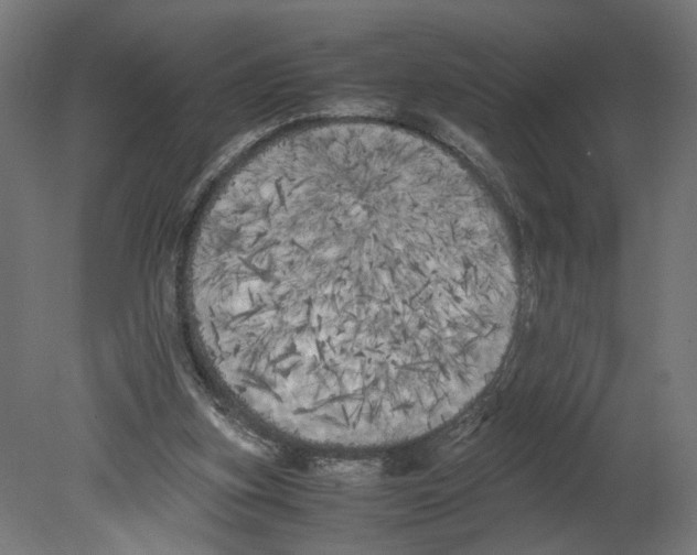 X0000080700155200701121800