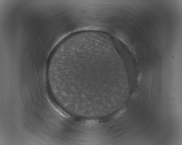 X0000080700156200701121800