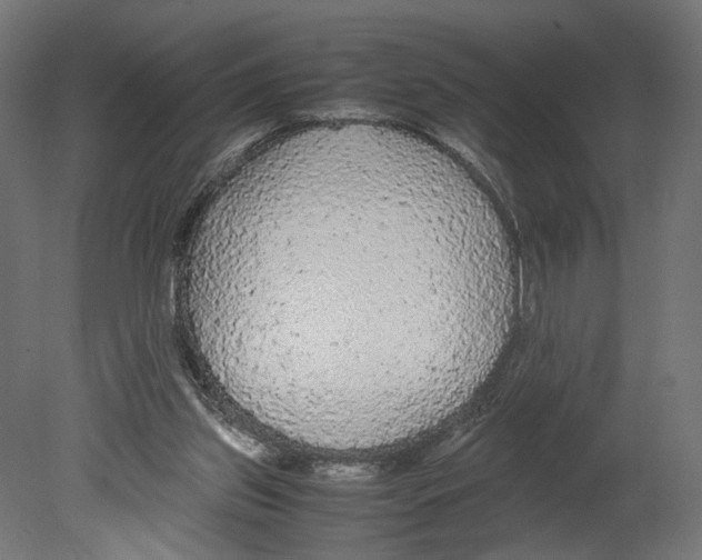 X0000080700157200701121800