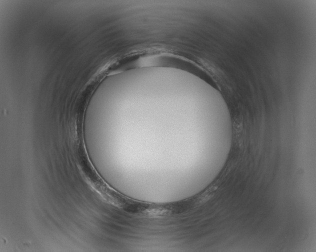 X0000080700158200701121800