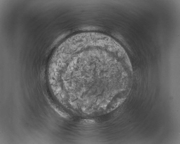 X0000080700159200701121800