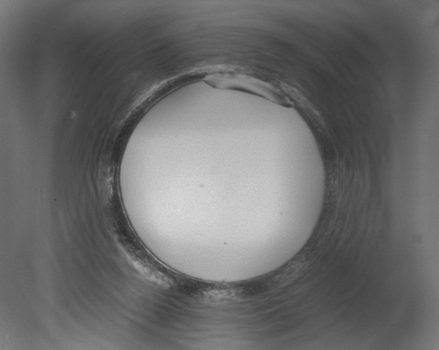 X0000080700160200701121800