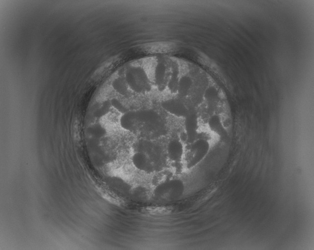 X0000080700161200701121800