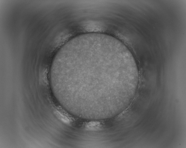 X0000080700162200701121800