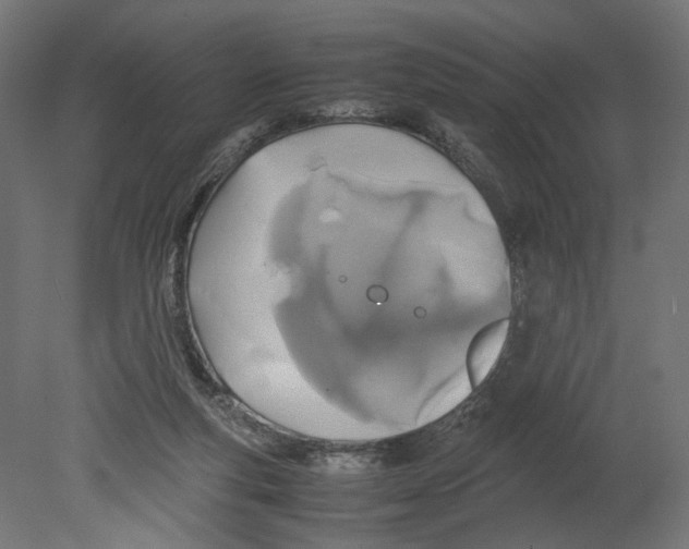 X0000080700163200701121800