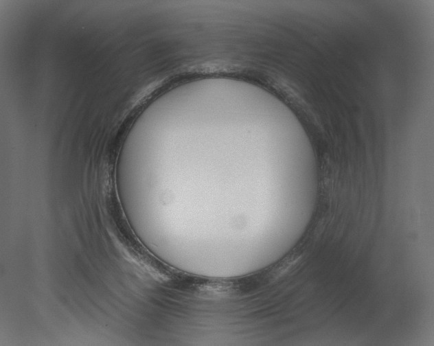 X0000080700164200701121800