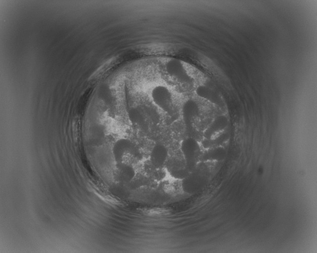 X0000080700165200701121800