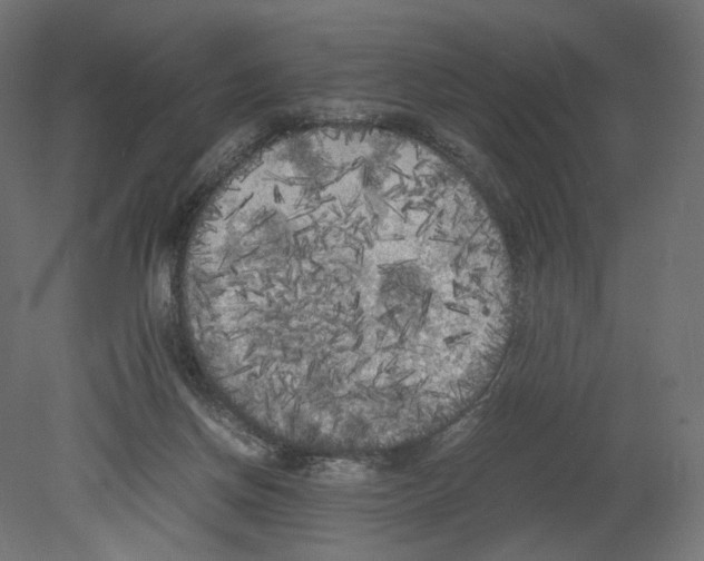 X0000080700166200701121800