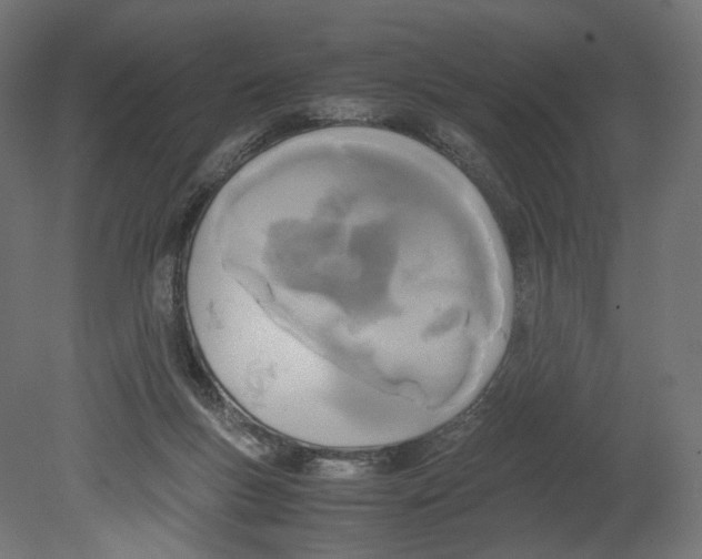 X0000080700167200701121800