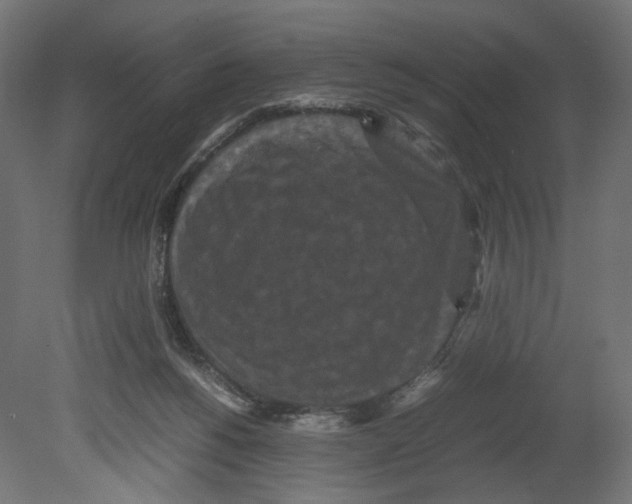 X0000080700168200701121800