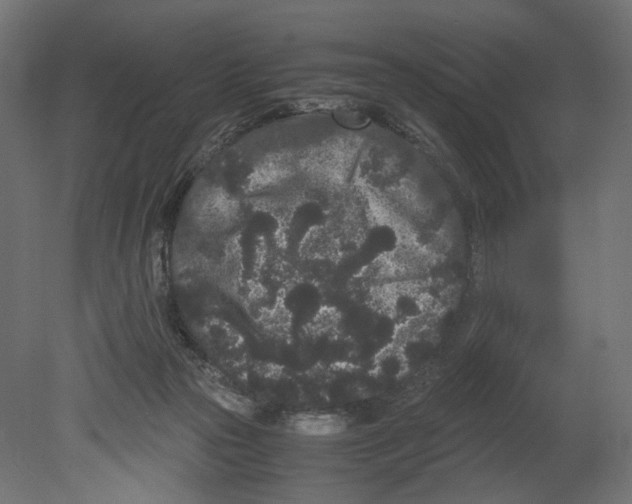 X0000080700169200701121800