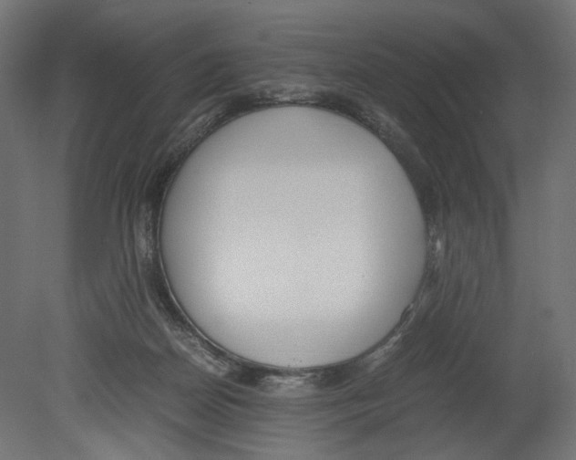 X0000080700170200701121800