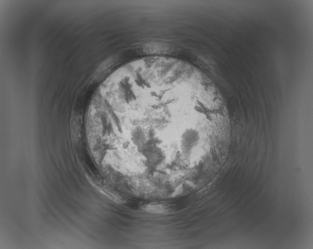 X0000080700171200701121801