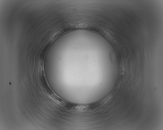 X0000080700172200701121801