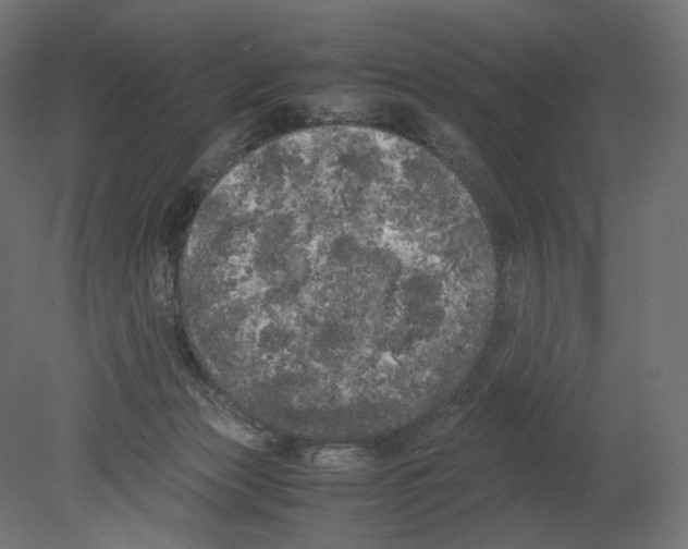 X0000080700173200701121801