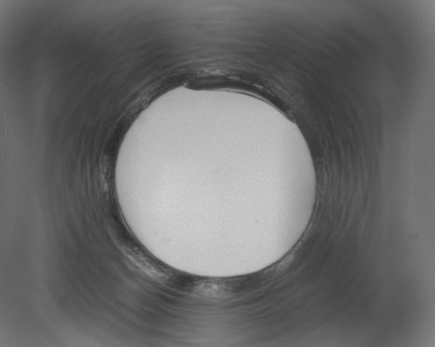 X0000080700174200701121801