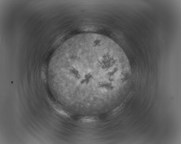 X0000080700175200701121801