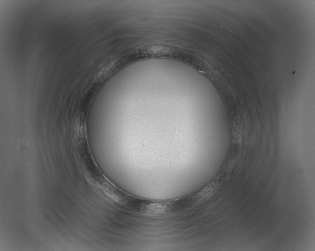 X0000080700176200701121801