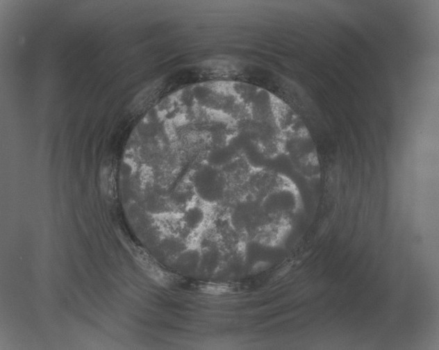 X0000080700177200701121801